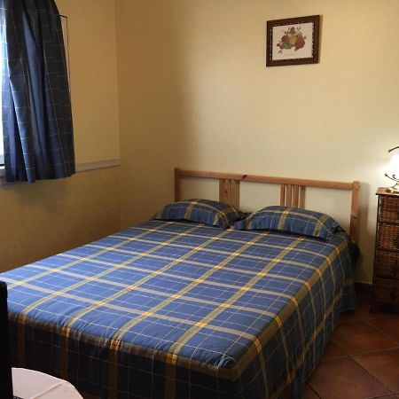 Guest House Ribatejo Salvaterra de Magos Luaran gambar