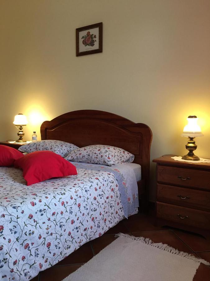 Guest House Ribatejo Salvaterra de Magos Luaran gambar